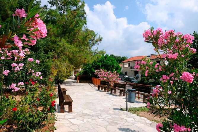 100% Cyprus - Tour to Troodos mountains and villages (From Paphos) - Key highlights at a glance