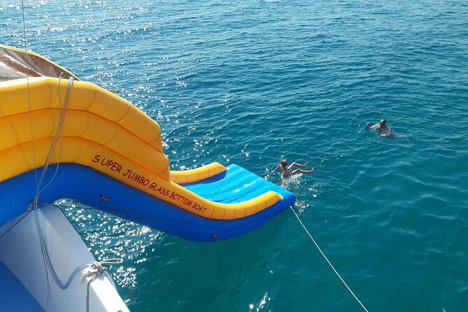 2.5 hour Glass Bottom Boat Trip, Snorkeling, Sliding and Fun - Wildlife Expectations: How to Think About Turtles, Fish, and Wrecks
