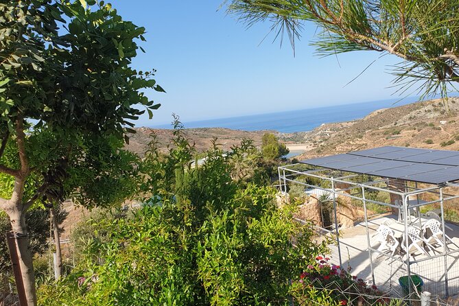 2-Hour Botanic Garden Tour in Akoursos - Logistics that matter: duration, group size, and pacing
