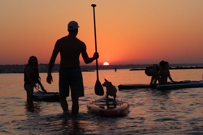 2 Hours Private Sunrise Sup with breakfast - The new wreck near the route, and when you can see it