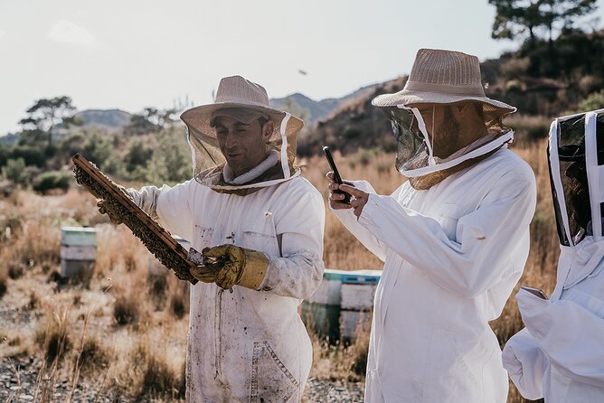 30-Minute Guided Honey Tasting Activity in Melini - Key highlights at a glance