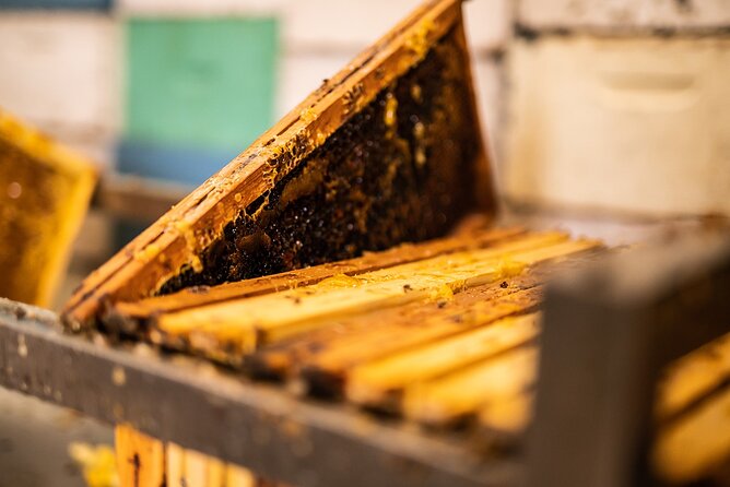 30-Minute Guided Honey Tasting Activity in Melini - What happens in the 30 minutes (and what each part is for)