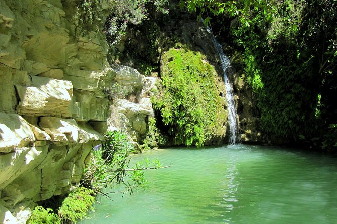 4 hour Quad & Buggy Safari Akamas(lara Bay) & Adonis Falls - Price and value: what $78.64 buys you, and what costs extra