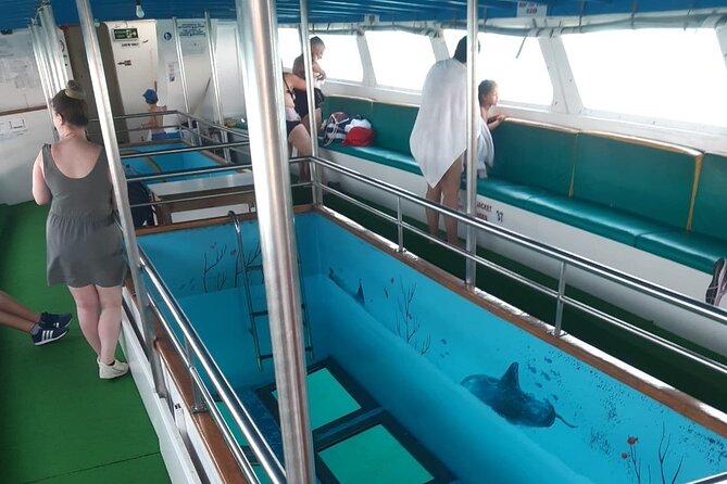 90-Minutes Glass Bottom Trip With Quick Dip - The glass bottom deck: what “almost 20m²” means for you