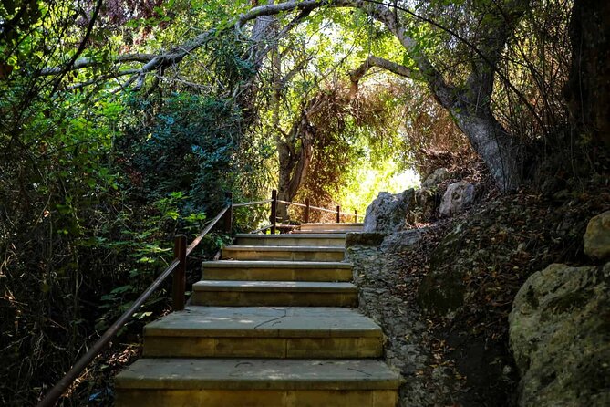 Akamas, Baths of Aphrodite and Blue Lagoon Day Tour from Paphos - On-board perks: wine, fruits, WiFi, and the little comfort wins