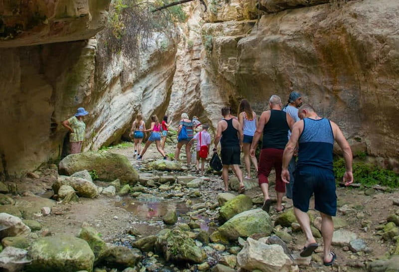Akamas Jeep Safari Tour from Paphos - Akamas Jeep Safari from Paphos, the big picture