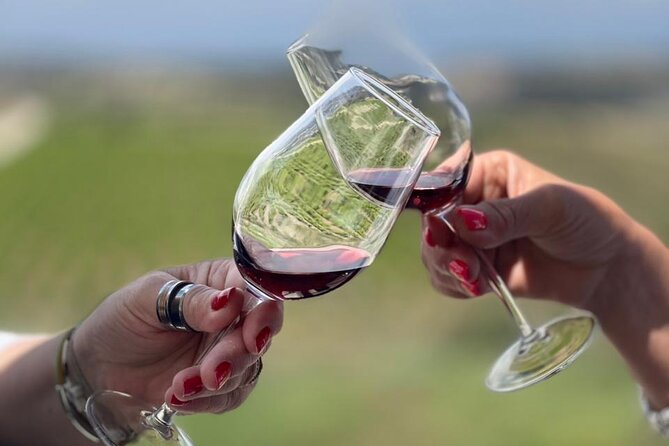 Akamas Wine Experience – All Inclusive Wine Tour - Trakkos Donkey Farm is the perfect reset before wine tastings