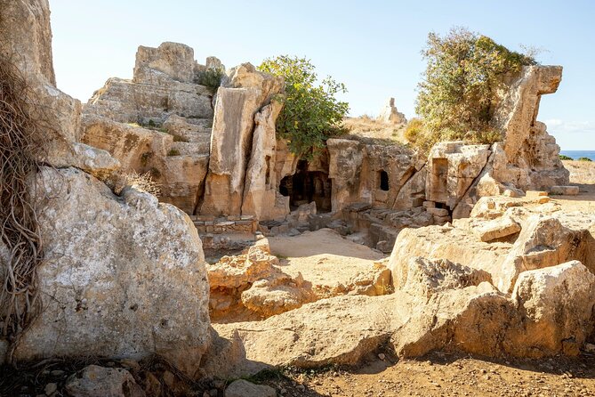 Ancient Kourion Tour with Paphos Town from Limassol - Value check: is $65.04 worth it?