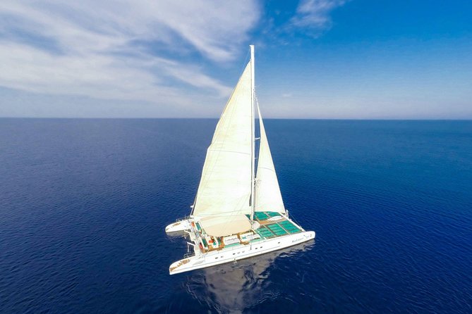 Aqua Catamaran Cruise from Protaras - Staff and Atmosphere: What Good Service Adds