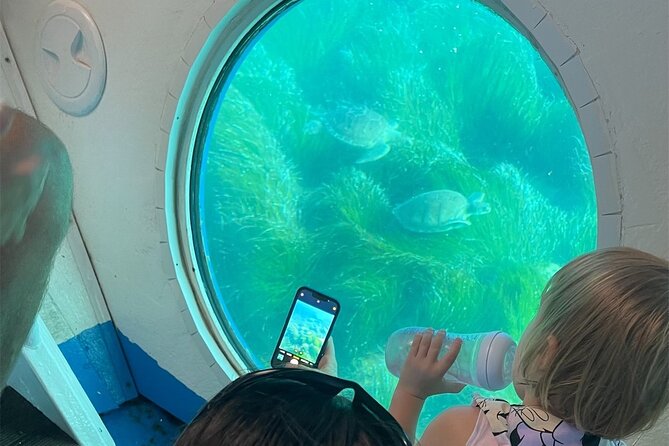 Atlantis Turtle Watching Cruise & Snorkelling Adventure - Key highlights you will feel on this cruise