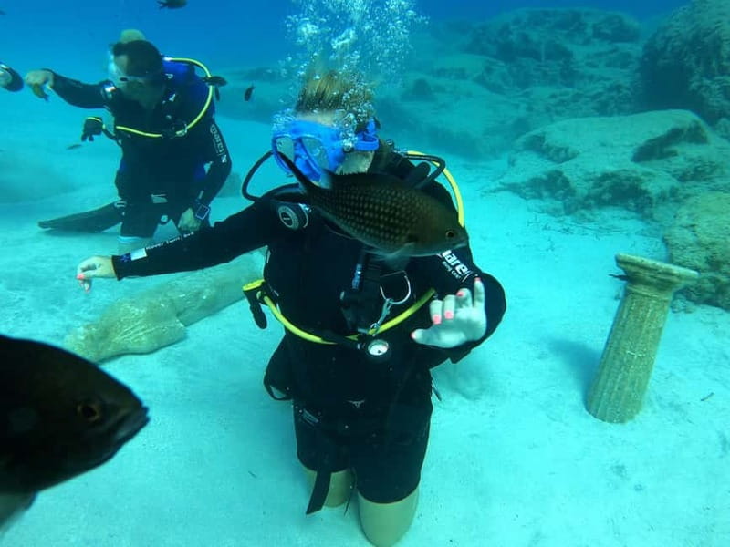 Ayia Napa: Beginners Discover Scuba Diving Experience - Price and value: is $235 worth it