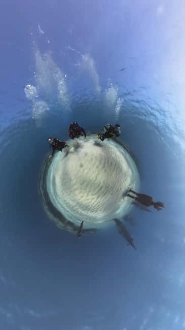 Ayia Napa: Musan Underwater Museum Scuba Dive - Key highlights before you book