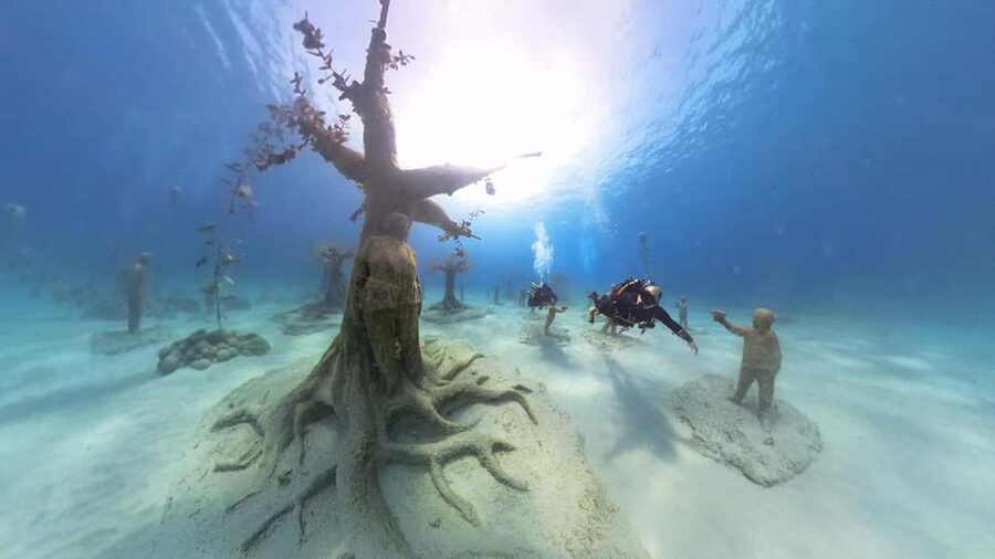Ayia Napa: Musan Underwater Museum Scuba Dive - Sea life sightings: what you’ll likely notice around the sculptures