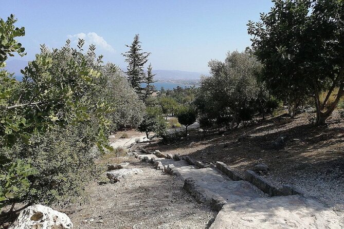 Baths of Aphrodite, Latchi and Blue Lagoon Cruise Tour - Key takeaways