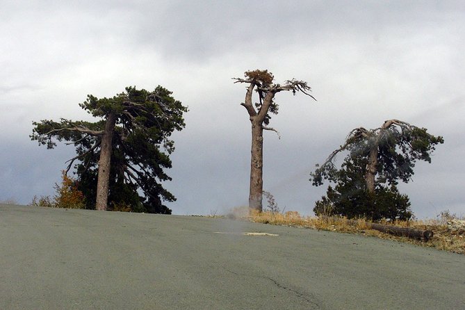 Beauty, Nature and Charm of Troodos Mountains from Paphos - Pickup, Timing, and the Small-Group Advantage