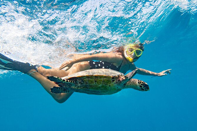 Blue Lagoon/Akamas: Adults Sunset with Food, Open Bar & Transfer - Food and open bar at sunset, what you’re really getting