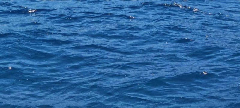 Blue Lagoon Latchi, coach transfer+boat trip, Half day trip - From Paphos to Latchi Harbour, the A/C coach start