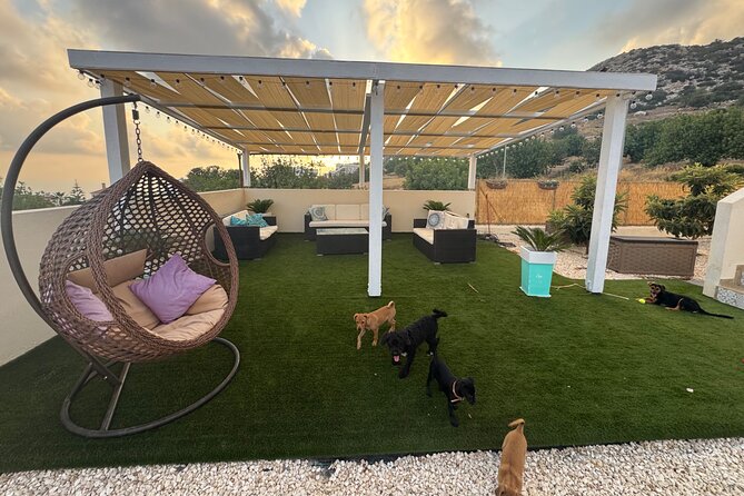 Coffee Cake and Cuddles with Rescue Puppies in a Sea View Villa - Who This Experience Fits Best