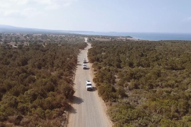 Cruise and 4X4 Safari Tour at Akamas Peninsula from Limassol - Timing, groups, and how the day feels from start to finish