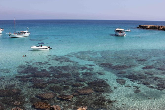 Cruise and 4X4 Safari Tour at Akamas Peninsula from Paphos - Lara Bay Turtle Conservation Station: why the visit feels meaningful