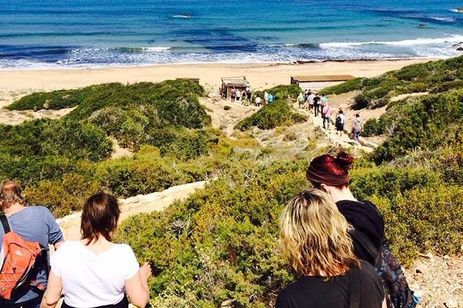 Cruise and 4X4 Safari Tour at Akamas Peninsula from Paphos - Blue Lagoon cruise and swim: the payoff stop
