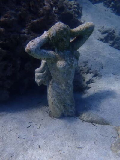 Introductory Scuba Lesson and Dive with Transfer
