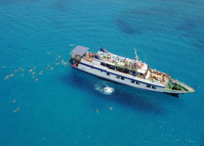 Odyssey Boat Safari from Larnaca to Protaras