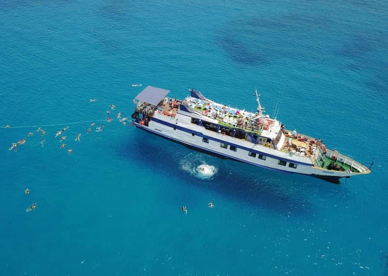 Cyprus: Odyssey Boat Safari from Larnaca to Protaras - The sea bream lesson, fishing farms, and spotting dolphins