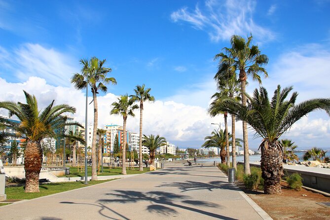 Cyprus’s History and Charm Full-Day Private Tour from Paphos - Who This Tour Suits Best, and Who Might Prefer Another Plan