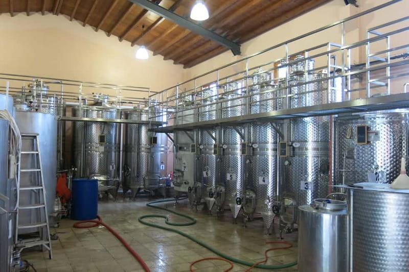 Cyprus: Troodos Mountain Wine Tour with a Local - Boutique Winery Tour and Tastings: How to Get the Most From the Pour