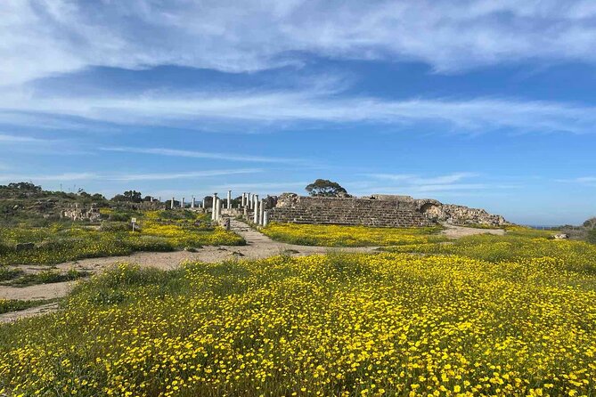 Day Tour to Famagusta, Ghost Town & Ancient Salamis - Strovilia passport checkpoint: one moment that changes the flow