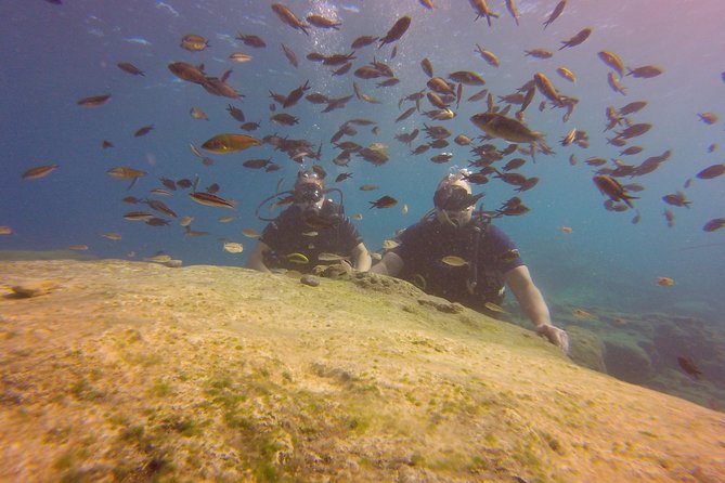 Discover Scuba diving - Key things I’d look for before you go