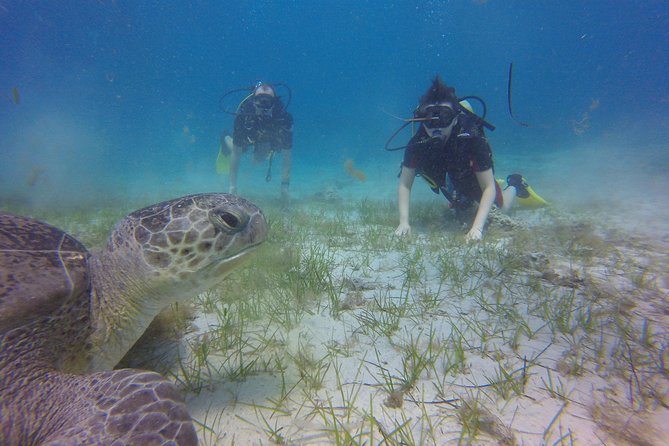 Discover Scuba diving - Equipment, medical questionnaire, and what you learn first