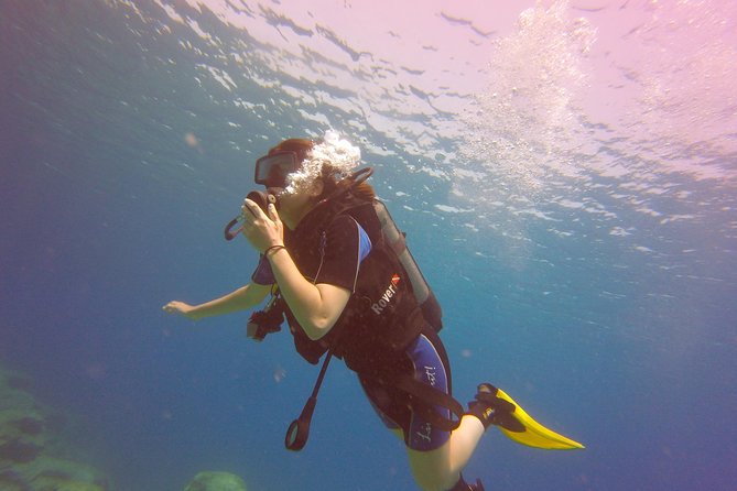Discover Scuba diving - Value for $102.79: what you really get in this 3-hour format