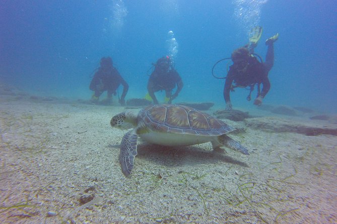 Discover Scuba diving - Who this beginner scuba experience suits best