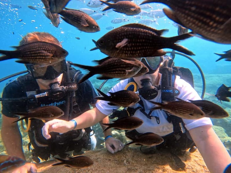 Discover Scuba Diving Experience - Green Bay is the smart choice for a first scuba session in Cyprus