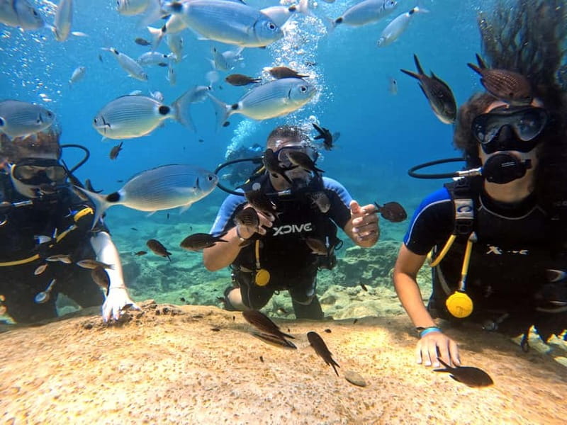 Discover Scuba Diving Experience - Your 3-hour timeline, hotel pickup to post-session video viewing