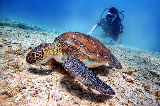 Discover Scuba Diving for Beginners - Intro Scuba in Protaras: What Makes This One Work for Beginners