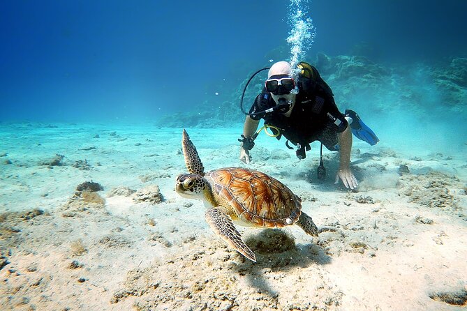 Discover Scuba Diving for Beginners - Equipment, Guide, and What You Do (and Don’t) Pay For