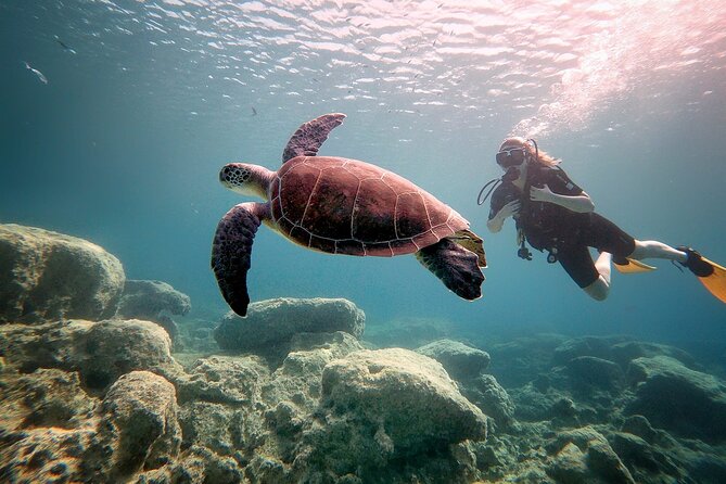 Discover Scuba Diving for Beginners - Timing in a 3-Hour Window: How the Day Flows