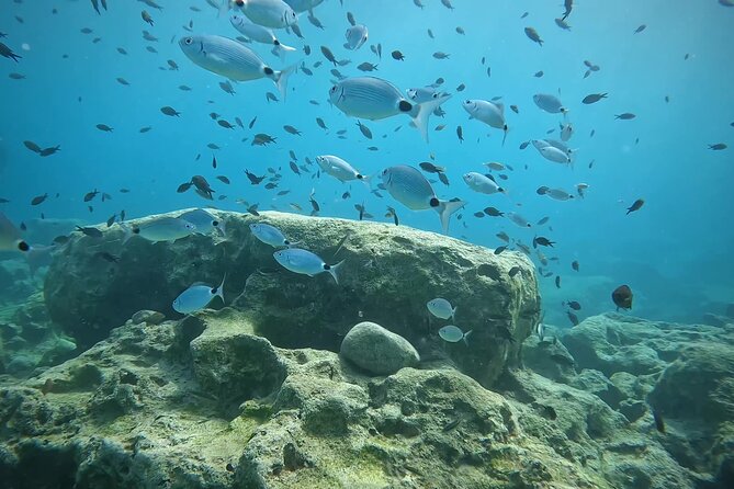 Discover SCUBA Diving with Pissouri Bay Divers - Getting the Right Sea Conditions on a Small Group Schedule