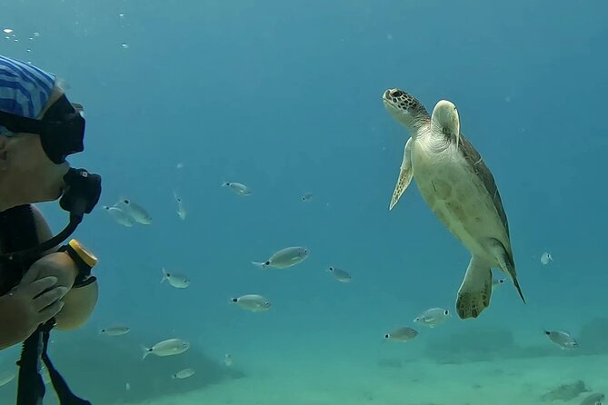 Discover SCUBA Diving with Pissouri Bay Divers - Price and what $145.18 buys you in real value