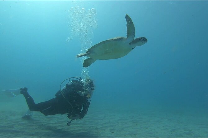 Discover SCUBA Diving with Pissouri Bay Divers - Tips before you go so training clicks faster