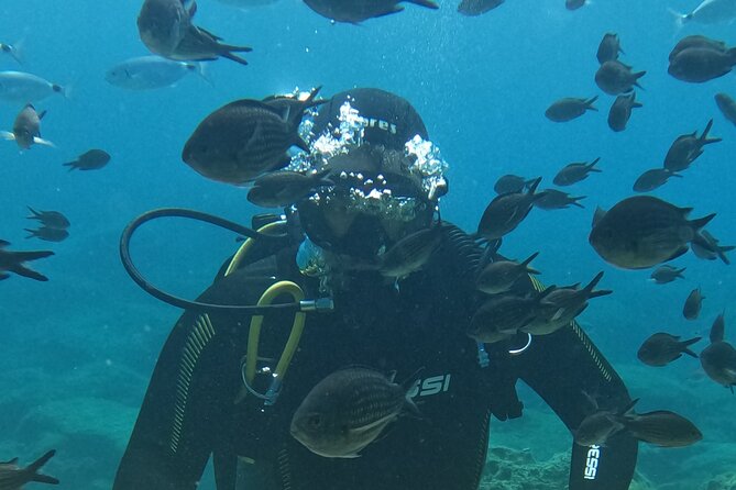 Dive The Rock (Scuba Diving Experience in Protaras) - Key highlights you will care about