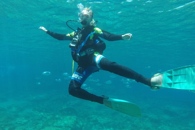 Dive The Rock (Scuba Diving Experience in Protaras) - Fish feeding: a small action with big pay-off