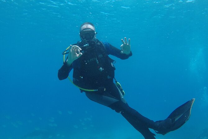 Dive The Rock (Scuba Diving Experience in Protaras) - Turtle interaction: why it’s worth your attention