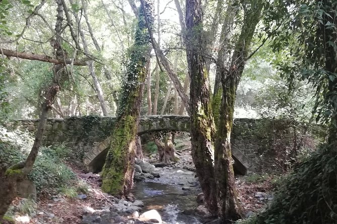 E-bike tour from Omodos to Milomeris Waterfall-Milia Bridge through Platres. - The Route at a Glance: What Makes This Ride Work