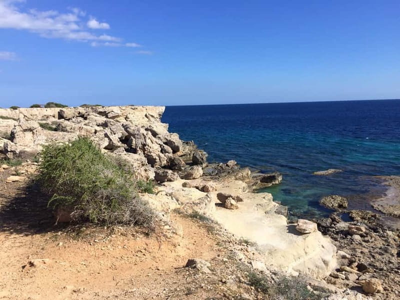 East Coast National Park: Half-Day Caves Jeep Safari - Guides bring the energy: humor, history, and safer off-road driving
