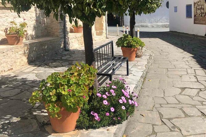 Experience Troodos Gems Shared Tour - Troodos Gems from Paphos: what a shared day trip actually feels like