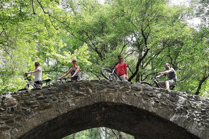 Explore Paphos forest with e-mountain bikes - Key highlights you will actually feel